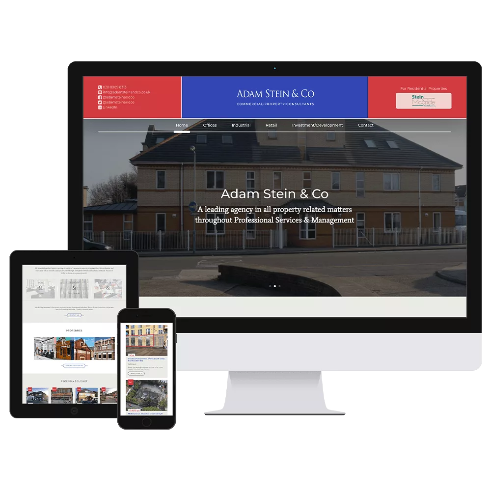 Adam Stein Adam Stein